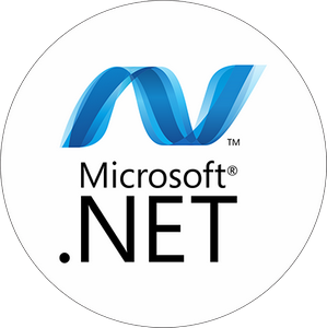Microsoft .Net Packages AIO 11.04.24 RePack by xetrin